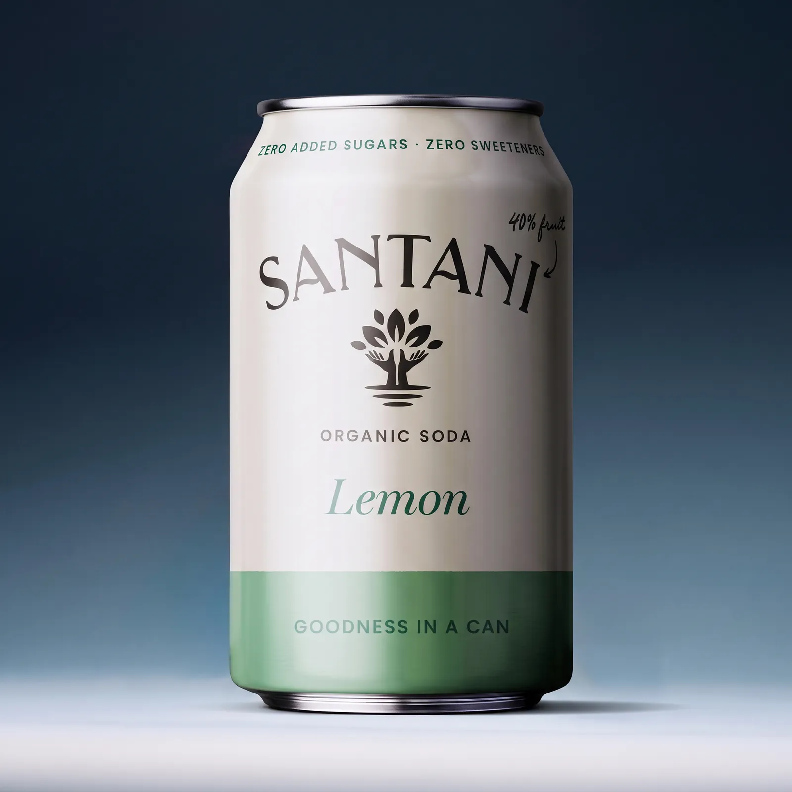SANTANI — Concept / Creative Direction / Social