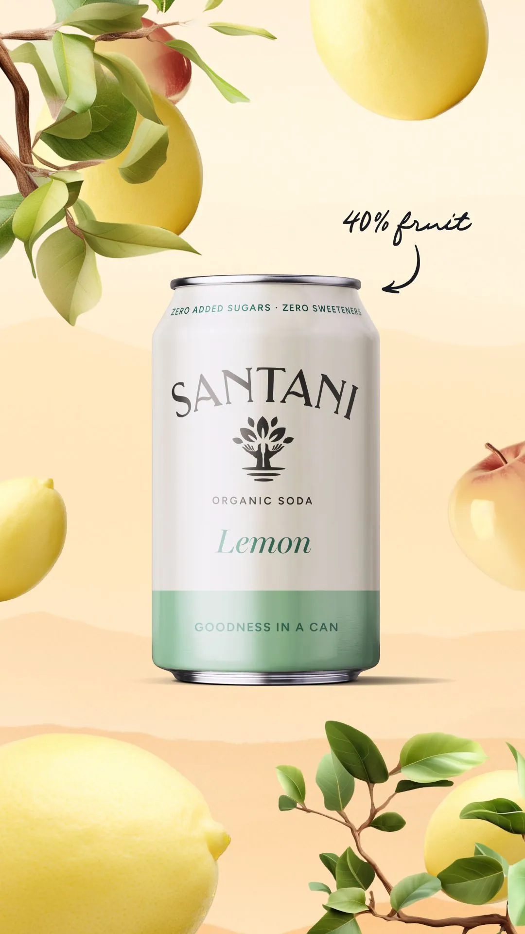 SANTANI — Concept, image 3