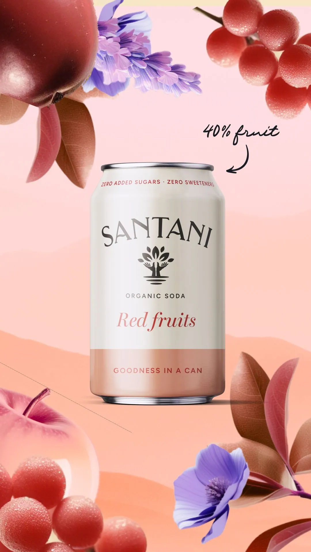 SANTANI — Concept, image 4